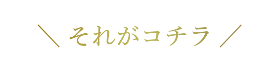 \ それがコチラ /