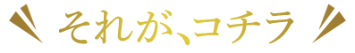 ＼それが、コチラ／