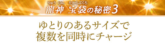 龍神 宝袋の秘密その3／ゆとりのあるサイズで複数を同時にチャージ