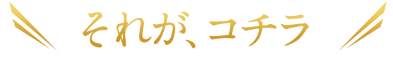 それが、コチラ